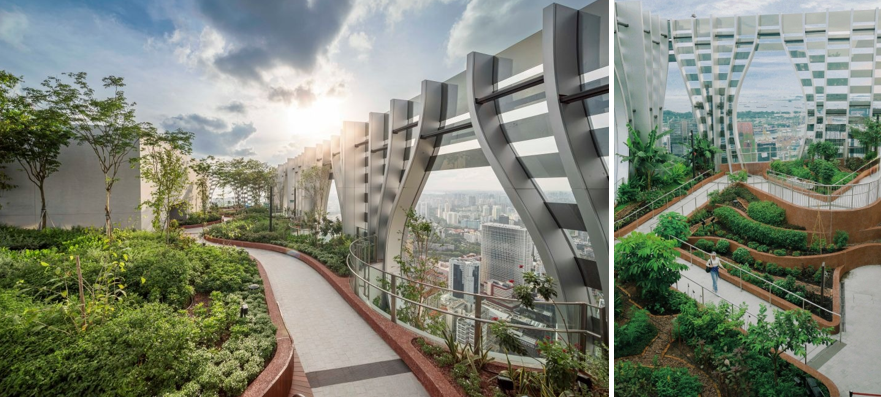 Image of rooftop garden L51 Urban Farm Group